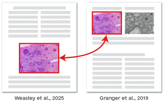 图片抄袭检测示例